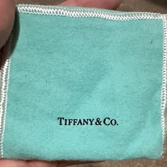 Tiffany & Co. Turquoise Pouch Collection - Picture 9 of 16